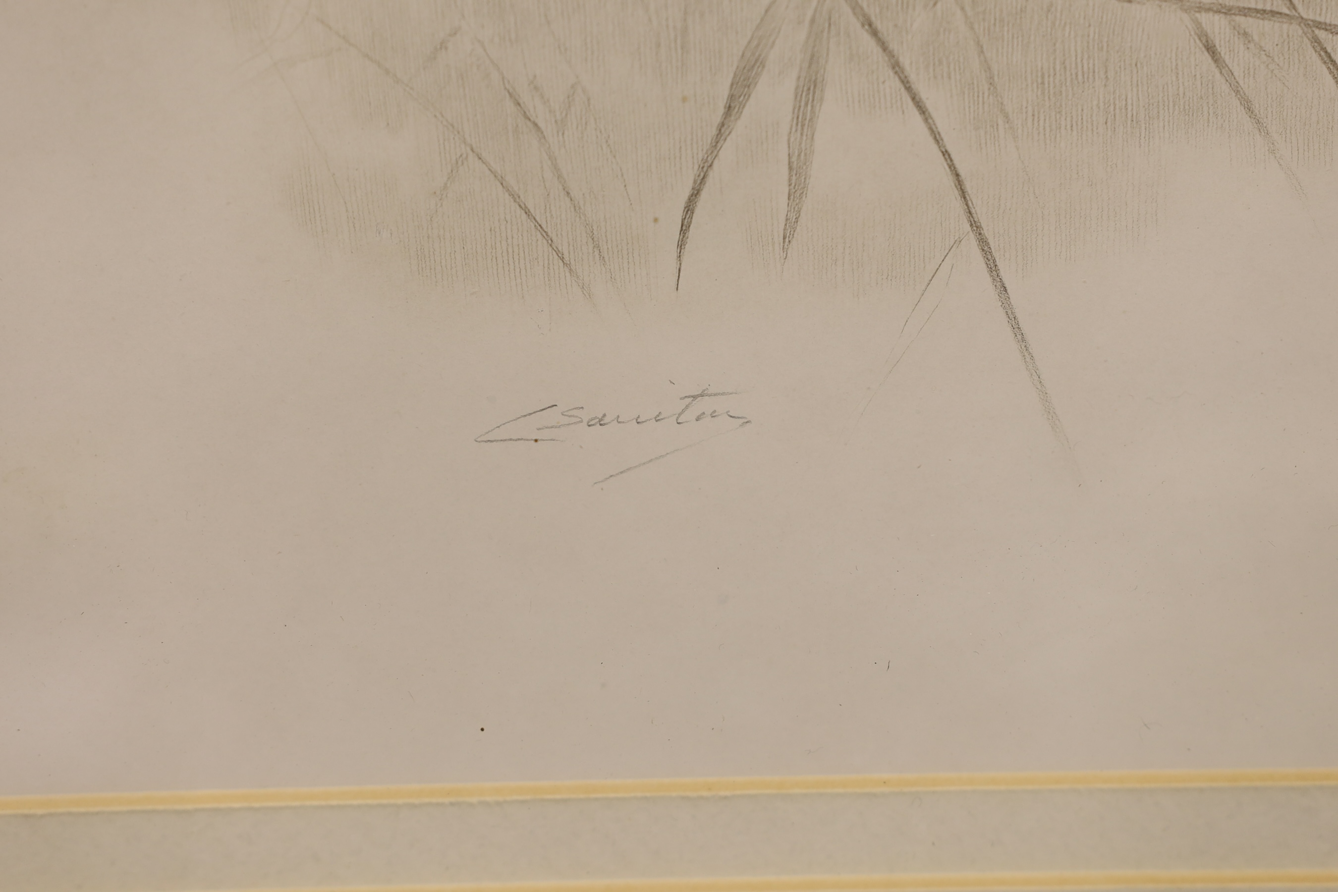 Charles Prosper Sainton (1861-1914), silverpoint, Woman amongst reeds, signed in the plate, 26 x 42cm